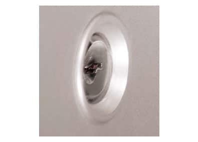 Rosace de sécurité pour poignée de porte