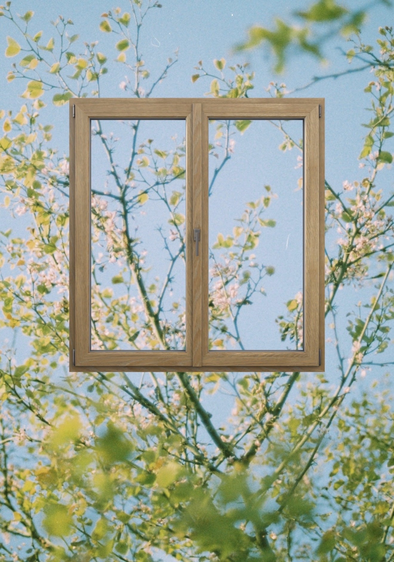 Inspiration fenêtre haut de gamme 6